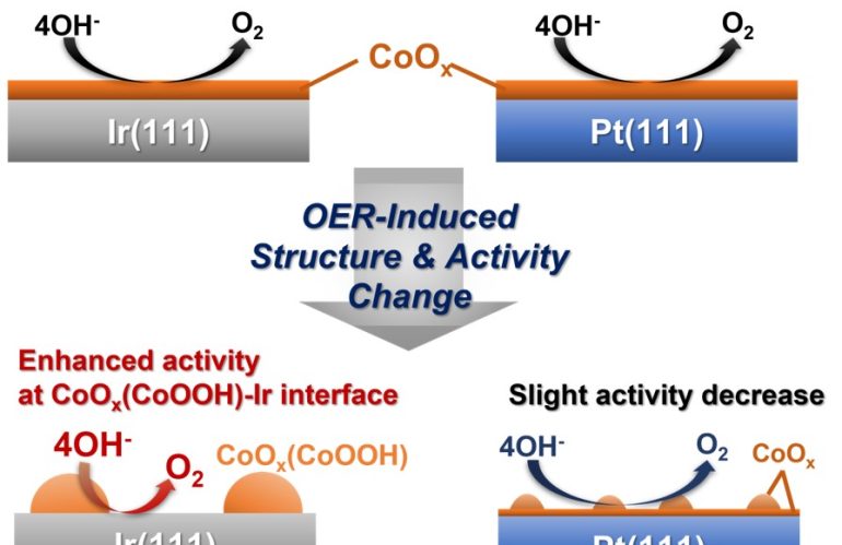 論文発表：CoOx/Ir, Pt表面の酸素発生活性